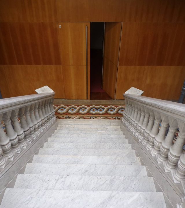 464148177_8459508800794159_5963544141360927652_n