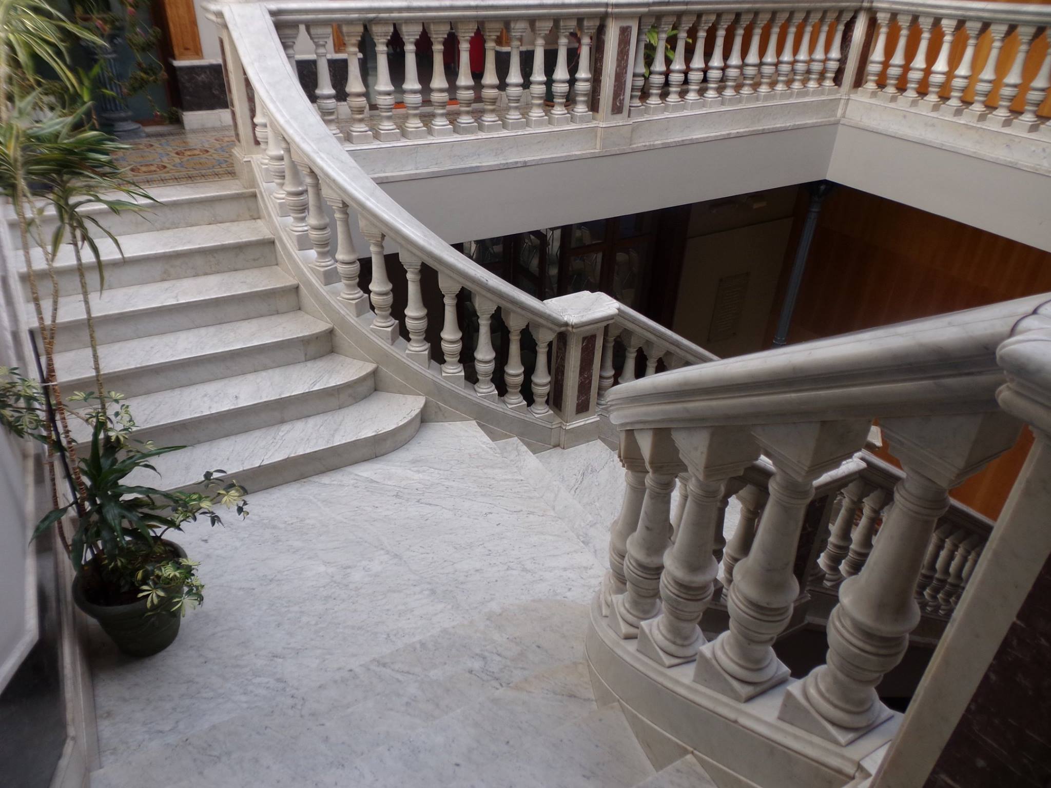 464128117_8459509004127472_920540743986776348_n