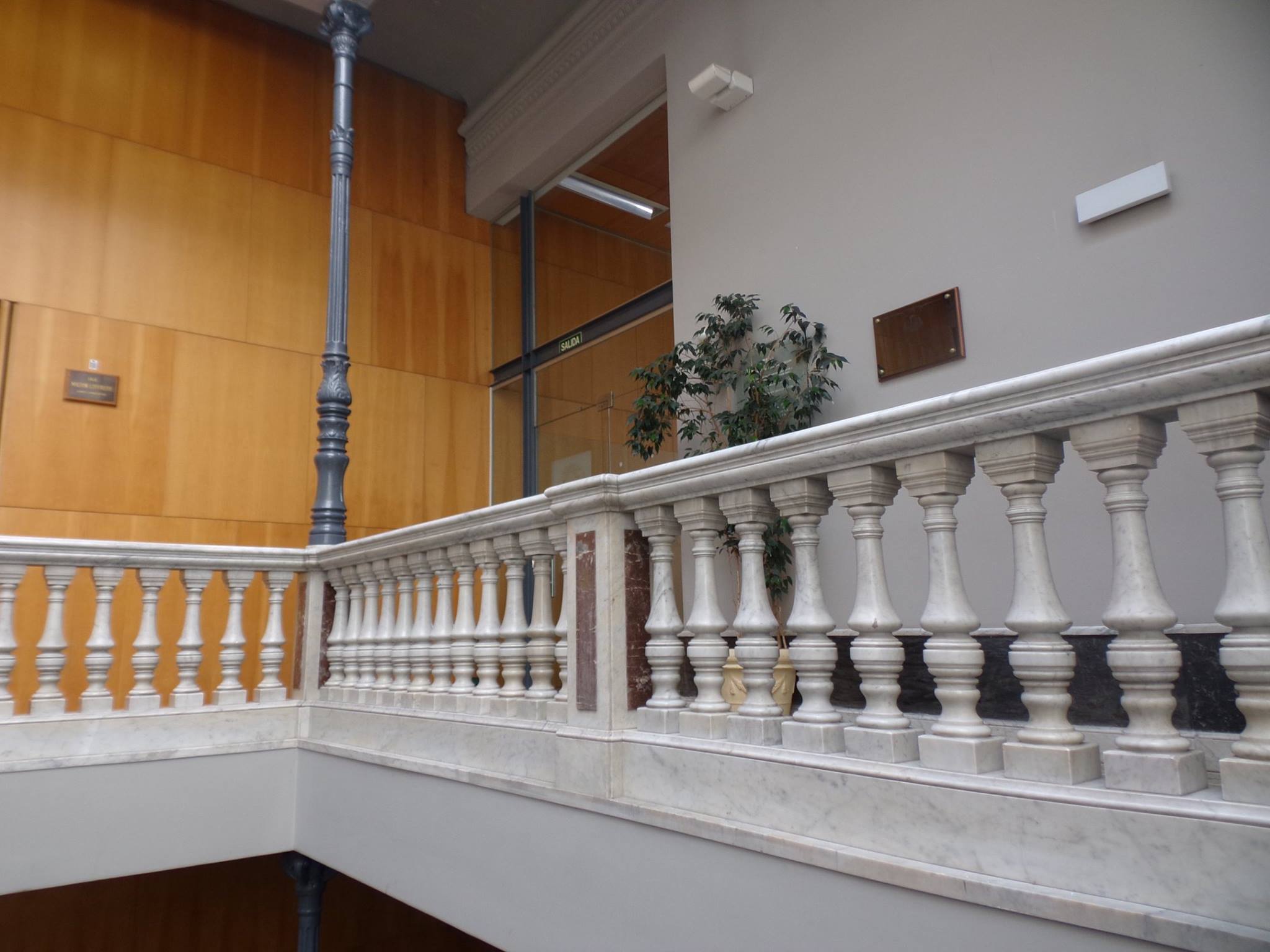 464213887_8459508797460826_6868533889152395178_n